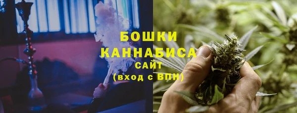 дмт Горнозаводск