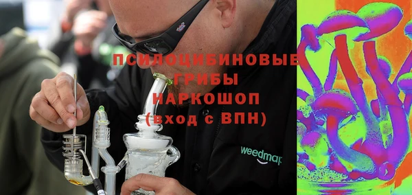 дмт Горнозаводск