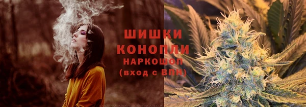 дмт Горнозаводск